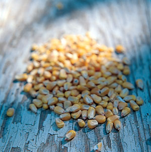 Corn is cheaper and easier on the environment than natural gas.